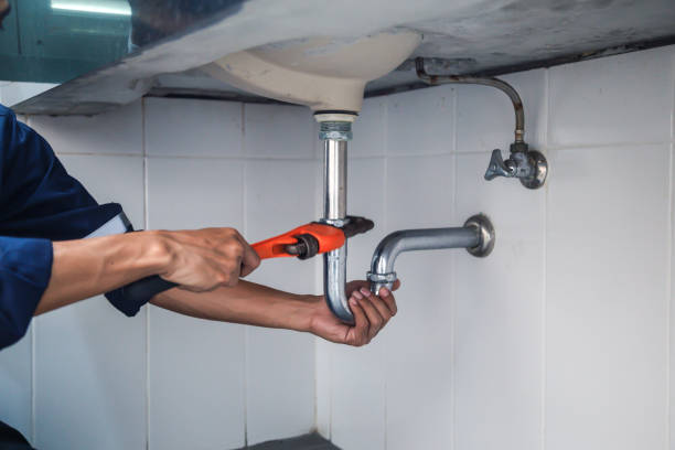 Best Toilet Repair Services  in Spring Arbor, MI