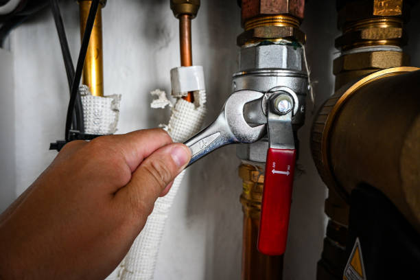 Best Plumbing Services Near Me  in Spring Arbor, MI